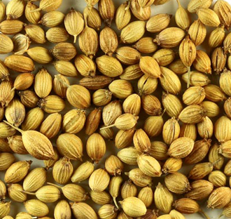 Coriander Seeds(Dhaniya)