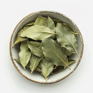 Bay Leaf